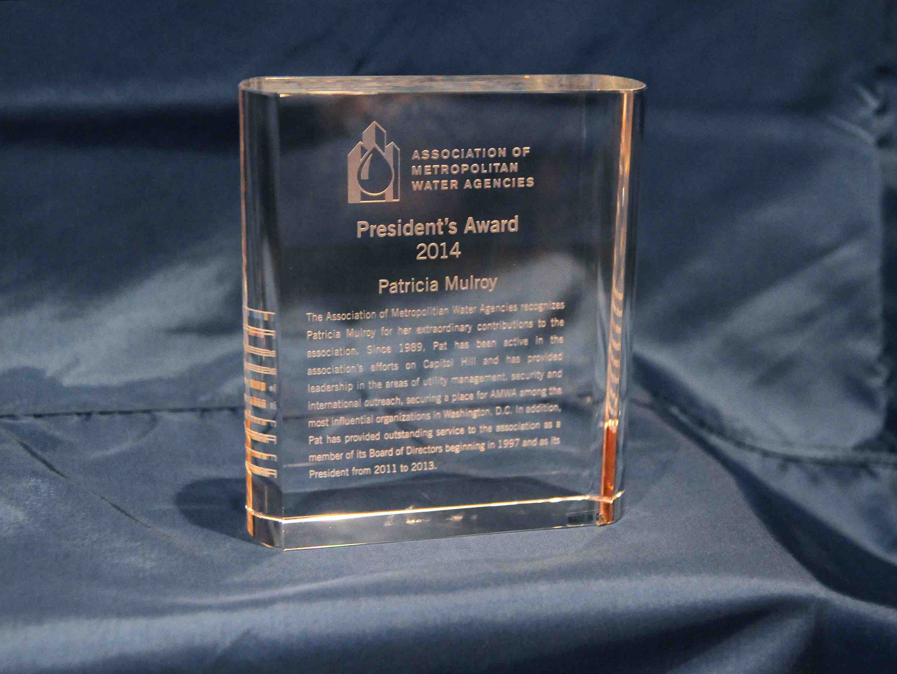 AMWA Presidents Award
