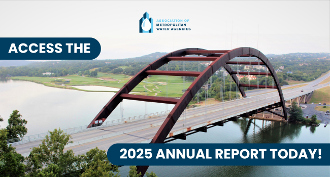 2025 Annual Report Graphic