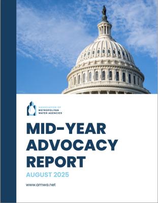 2025 Advocacy Report
