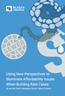 BV White Paper
